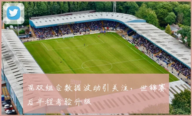 混双组合数据波动引关注，世锦赛后半程考验升级