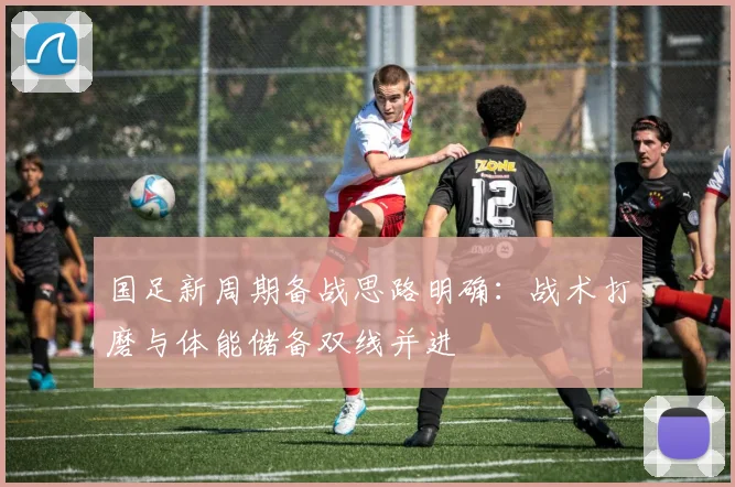 国足新周期备战思路明确：战术打磨与体能储备双线并进