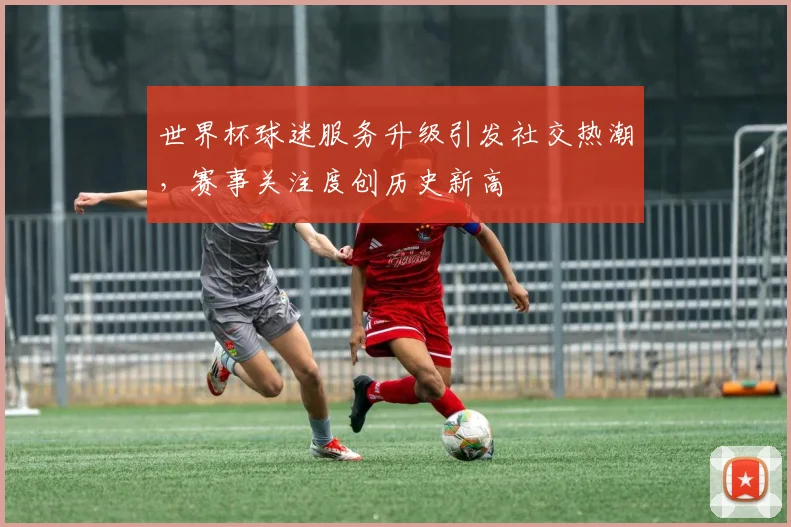 世界杯球迷服务升级引发社交热潮，赛事关注度创历史新高