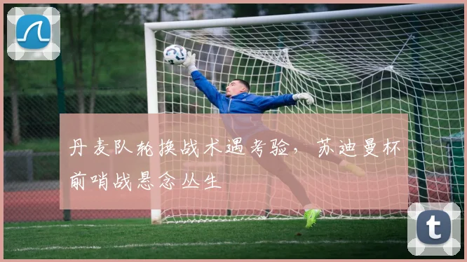 丹麦队轮换战术遇考验，苏迪曼杯前哨战悬念丛生