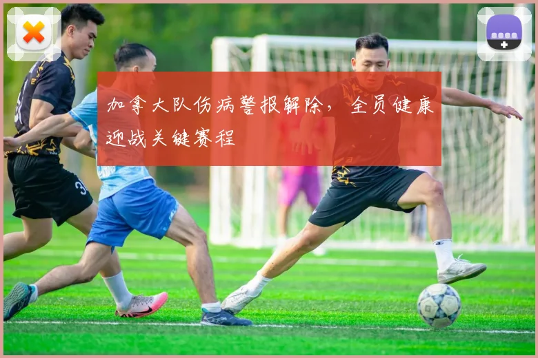 加拿大队伤病警报解除，全员健康迎战关键赛程